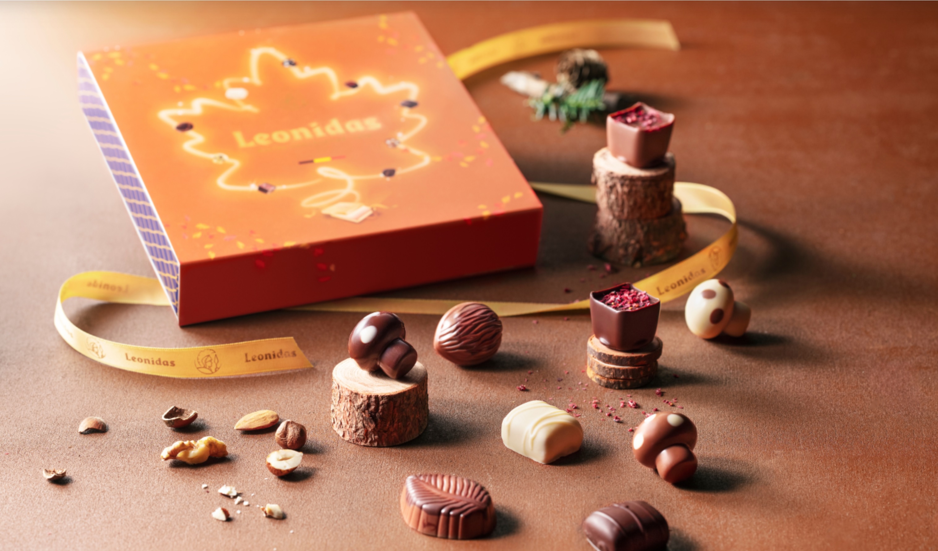 Cornet chocolats - Leonidas Ieper
